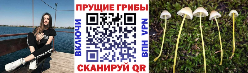 Купить закладки Билибино Галлюциногенные грибы ЛСД